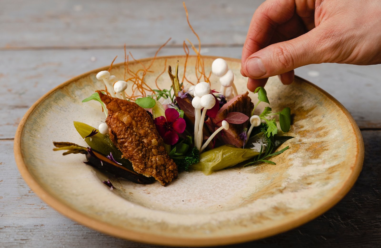 Creative Food